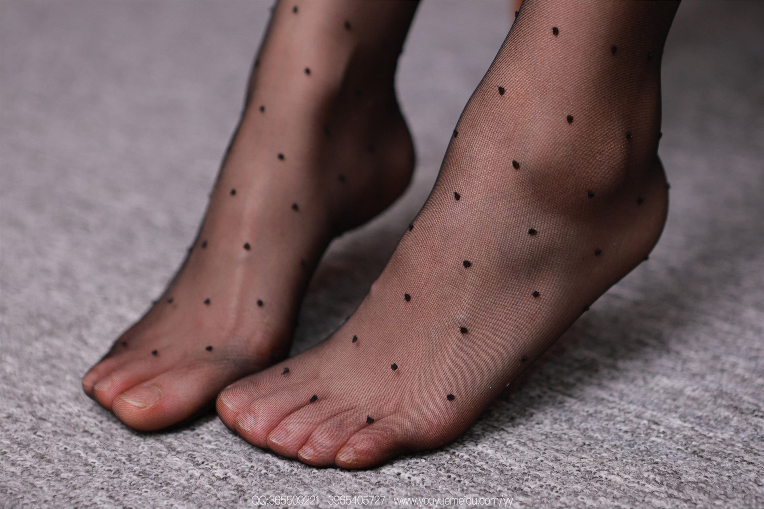 IESS异思趣向  2025.12.03 丝享家2227：小婕《波点丝袜（下）》